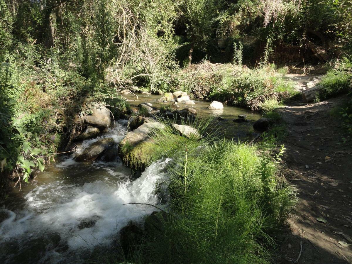 Apartamento Terrazas De Monachil Dış mekan fotoğraf