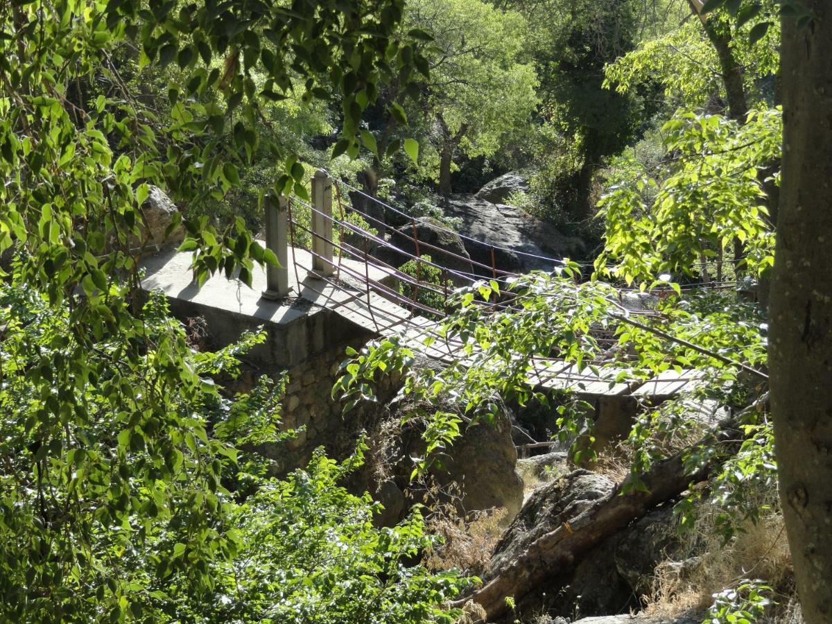 Apartamento Terrazas De Monachil Dış mekan fotoğraf